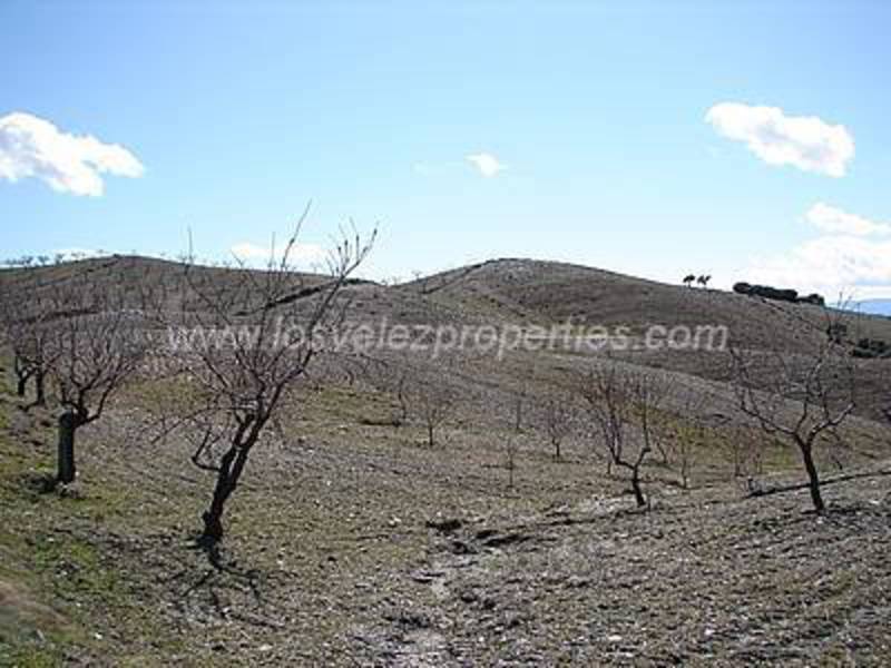 LVC14: Cortijo para Reformar en venta en Taberno, Almería