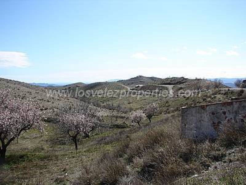 LVC14: Cortijo para Reformar en venta en Taberno, Almería