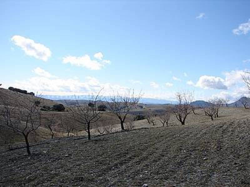 LVC14: Cortijo para Reformar en venta en Taberno, Almería
