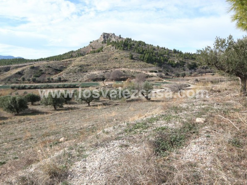 LVC193: Granja Pequeña en venta en Velez-Blanco, Almería