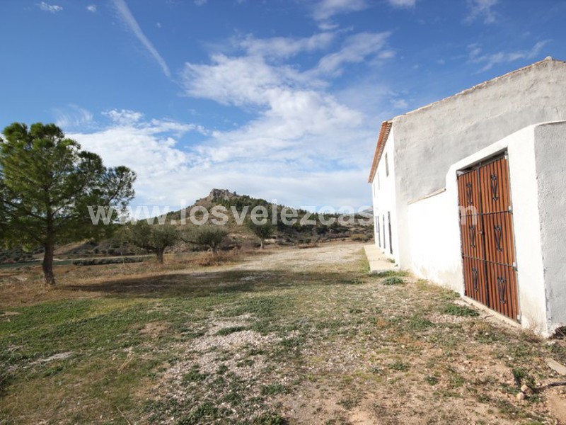 LVC193: Granja Pequeña en venta en Velez-Blanco, Almería