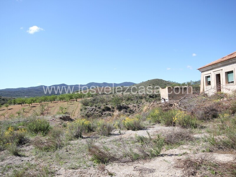 LVC242: Cortijo Reformada en venta en Fontanares, Murcia