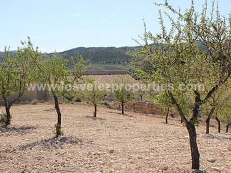 LVC242: Cortijo Reformada en venta en Fontanares, Murcia