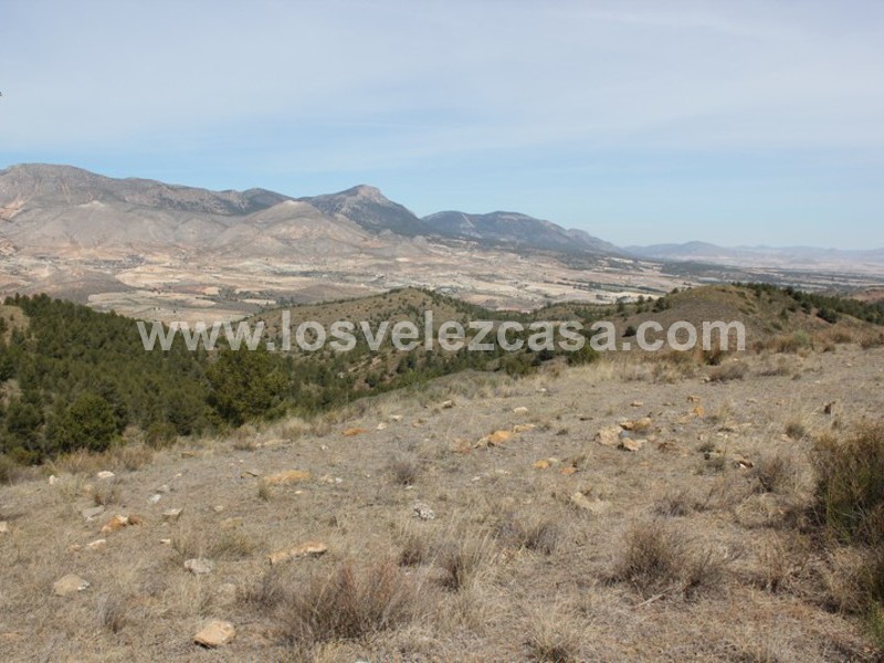 LVC299: Cortijo para Reformar en venta en Umbria, Murcia