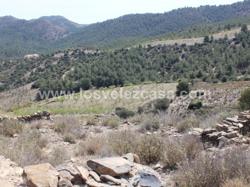 LVC299: Cortijo para Reformar en venta en Umbria, Murcia