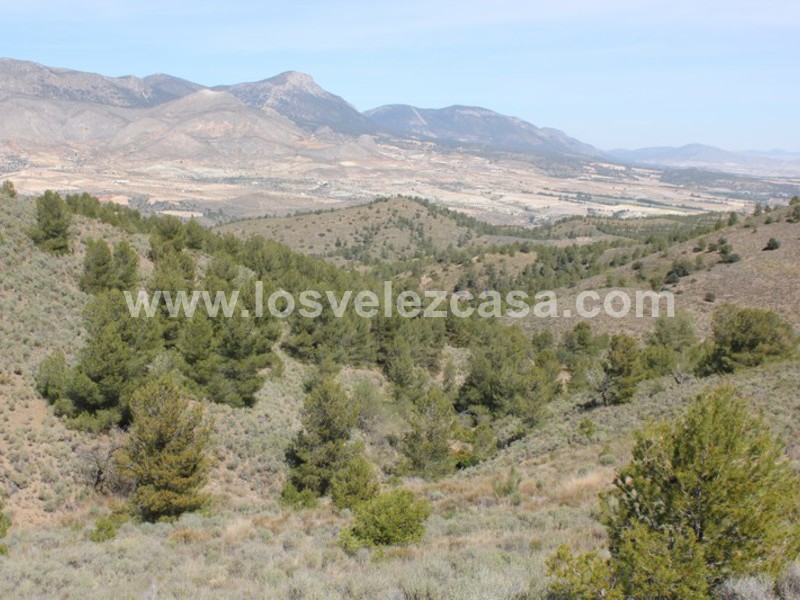 LVC299: Cortijo para Reformar en venta en Umbria, Murcia