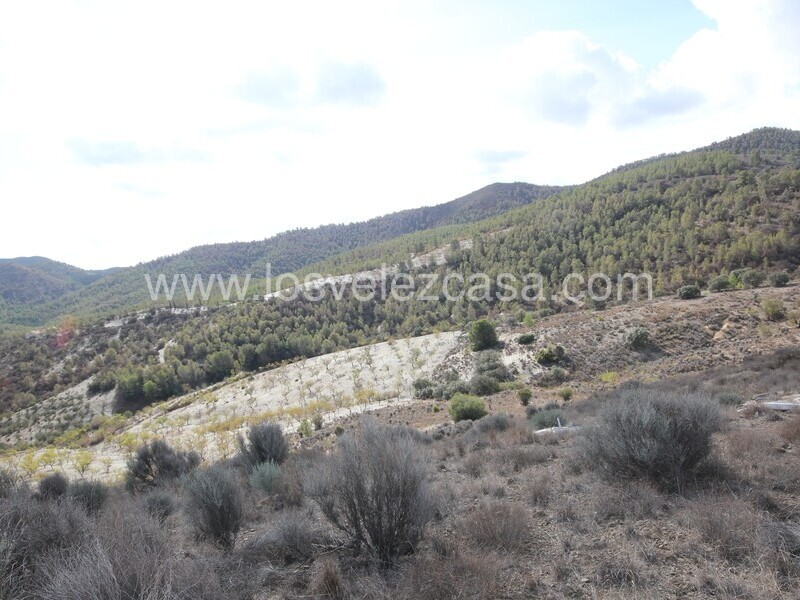 LVC299: Cortijo para Reformar en venta en Umbria, Murcia