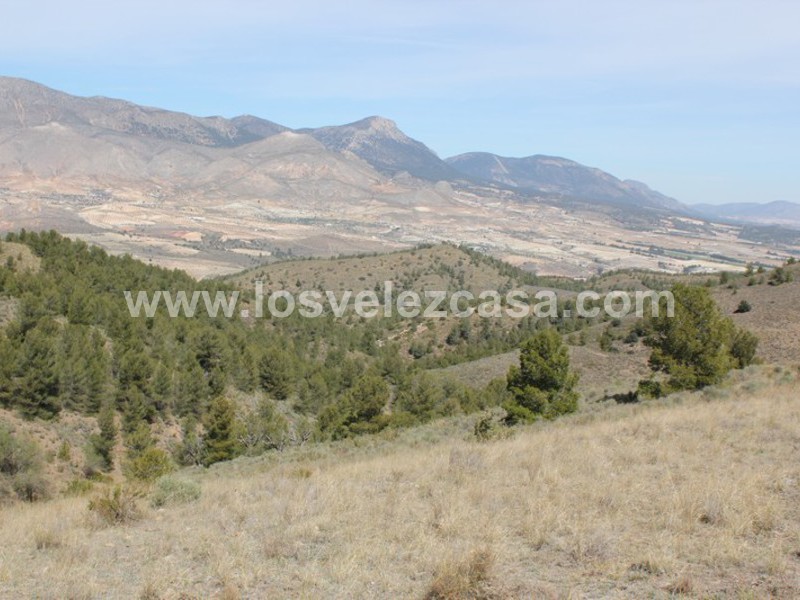 LVC299: Country Property to Reform for sale in Umbria, Murcia