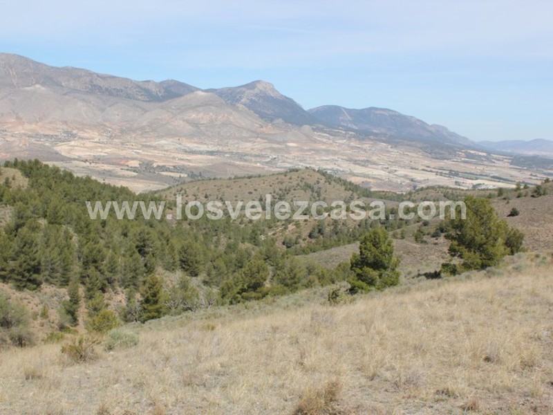 LVC299: Cortijo para Reformar en venta en Umbria, Murcia
