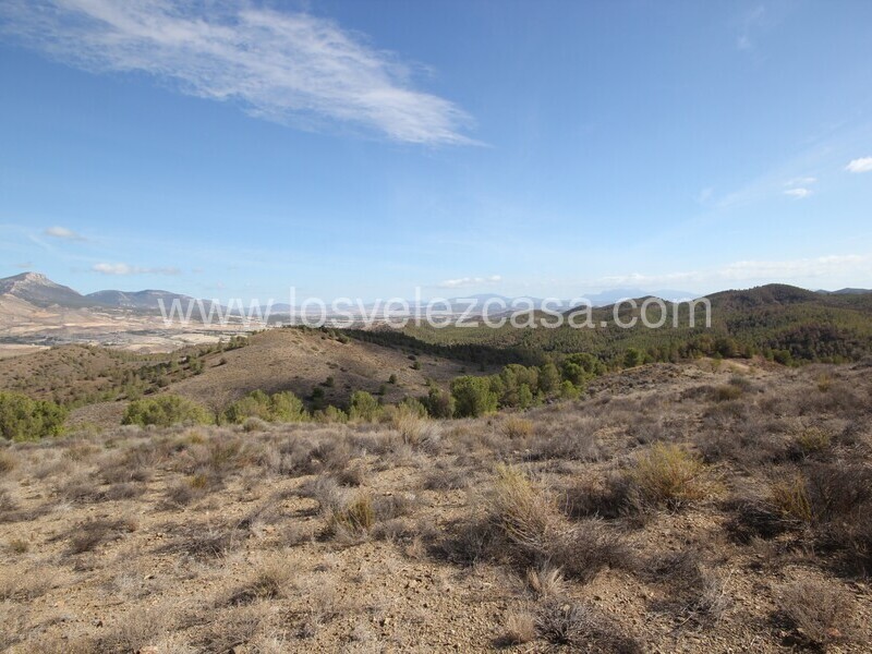 LVC299: Cortijo para Reformar en venta en Umbria, Murcia