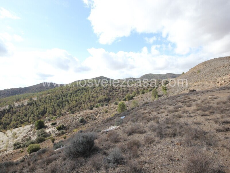 LVC299: Cortijo para Reformar en venta en Umbria, Murcia