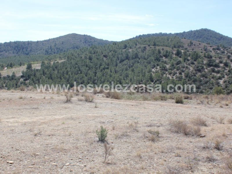 LVC299: Cortijo para Reformar en venta en Umbria, Murcia