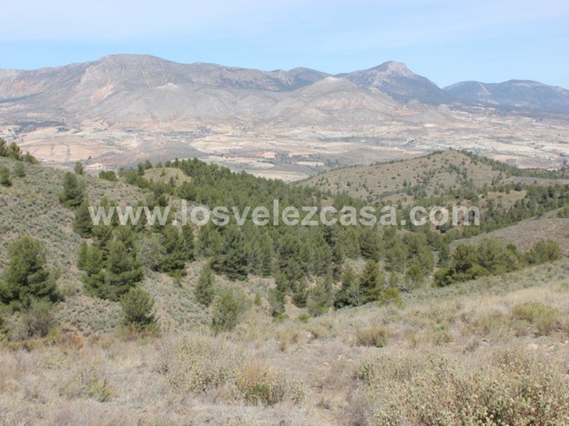 LVC299: Cortijo para Reformar en venta en Umbria, Murcia