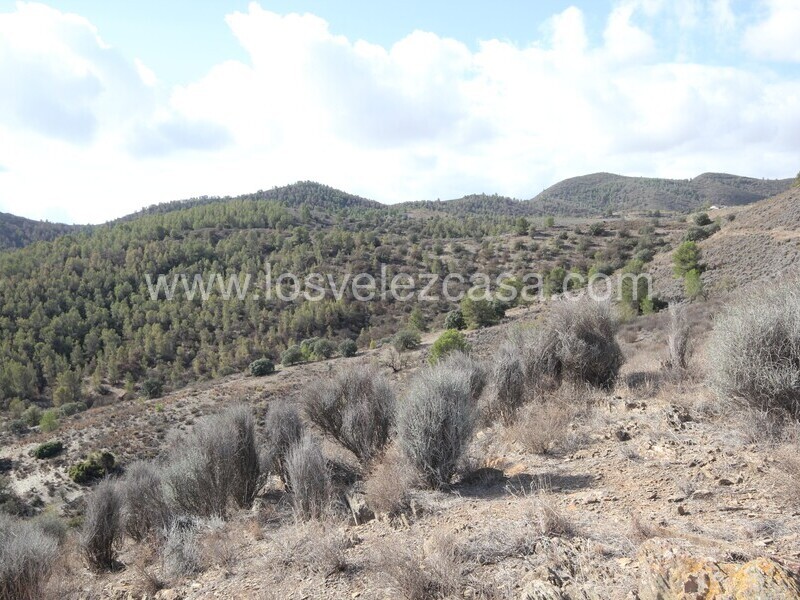 LVC299: Cortijo para Reformar en venta en Umbria, Murcia