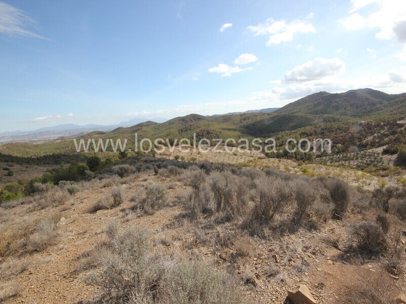 LVC299: Cortijo para Reformar en venta en Umbria, Murcia