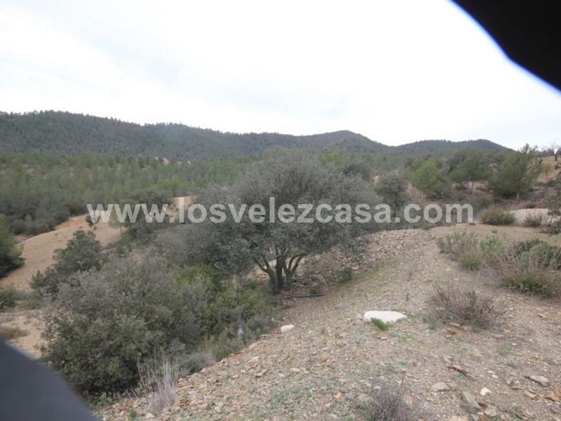 LVC349: Detached Character House for sale in Umbria, Murcia