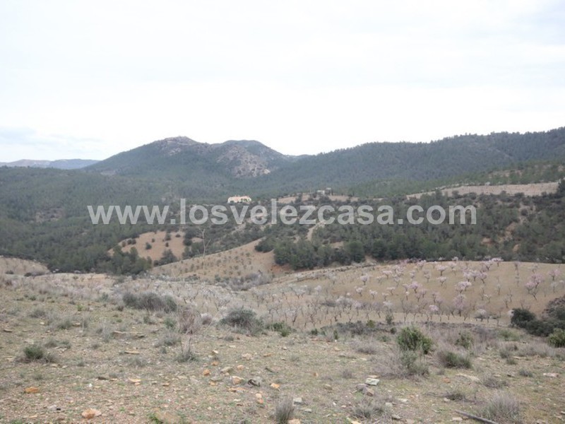 LVC349: Detached Character House for sale in Umbria, Murcia