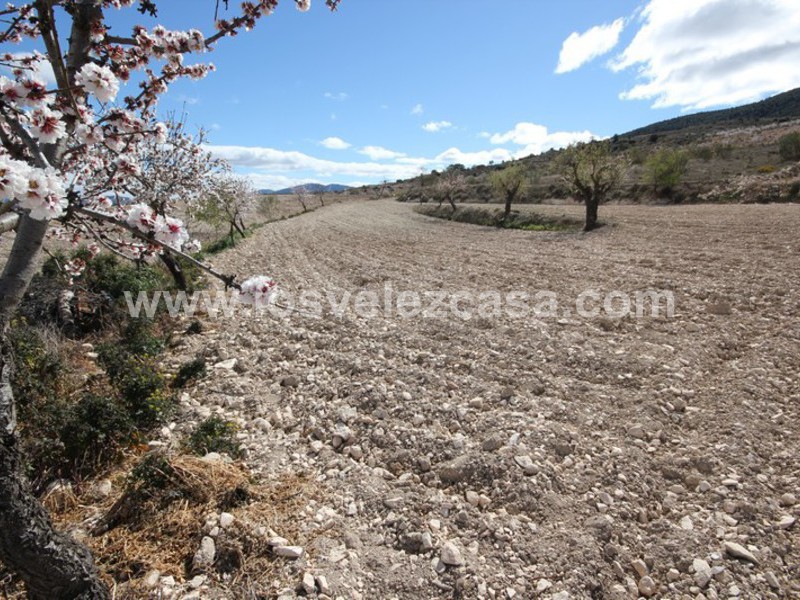 LVC366: Terraced Country House for sale in Topares, Almería