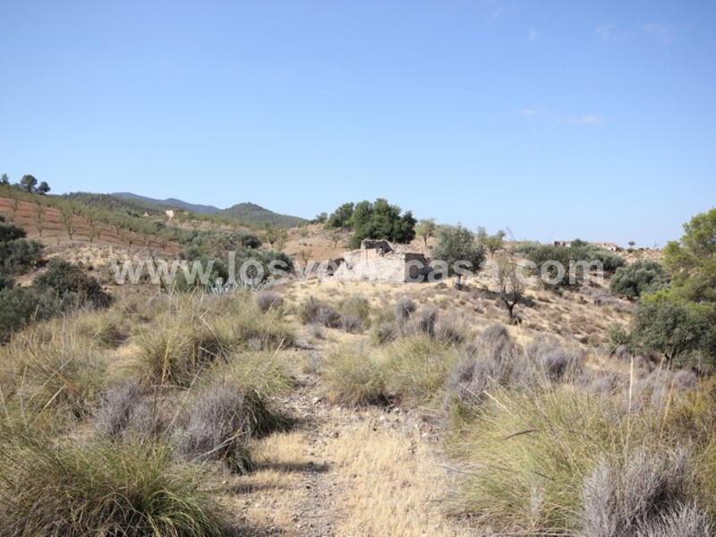 LVC388: Cortijo para Reformar en venta en Fontanares, Murcia