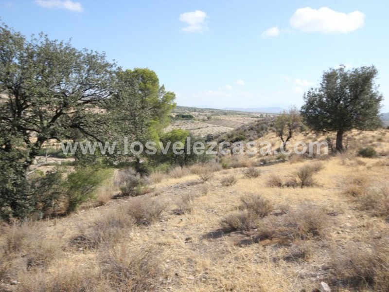 LVC388: Cortijo para Reformar en venta en Fontanares, Murcia