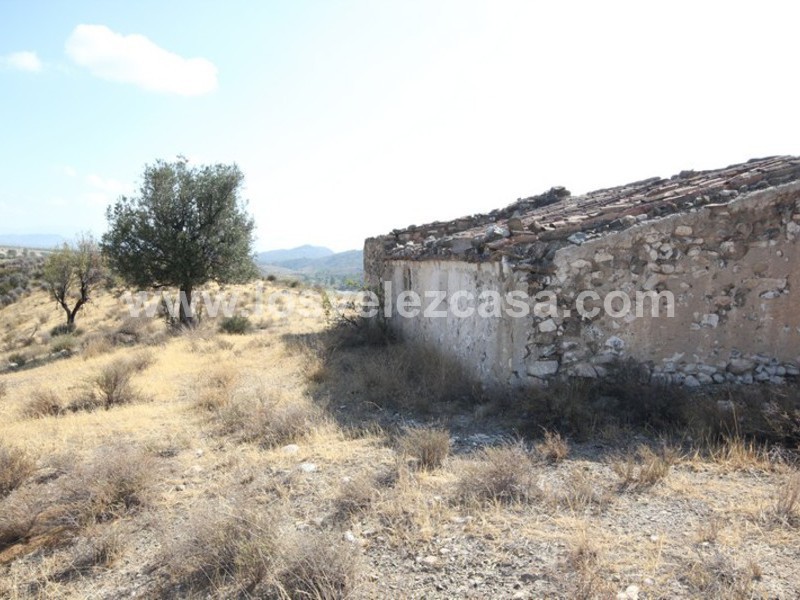 LVC388: Cortijo para Reformar en venta en Fontanares, Murcia
