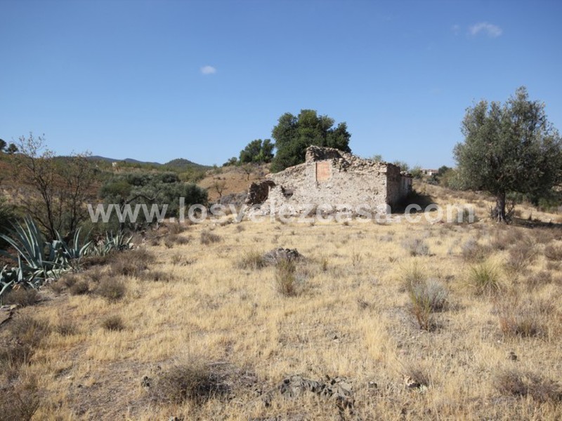 LVC388: Cortijo para Reformar en venta en Fontanares, Murcia