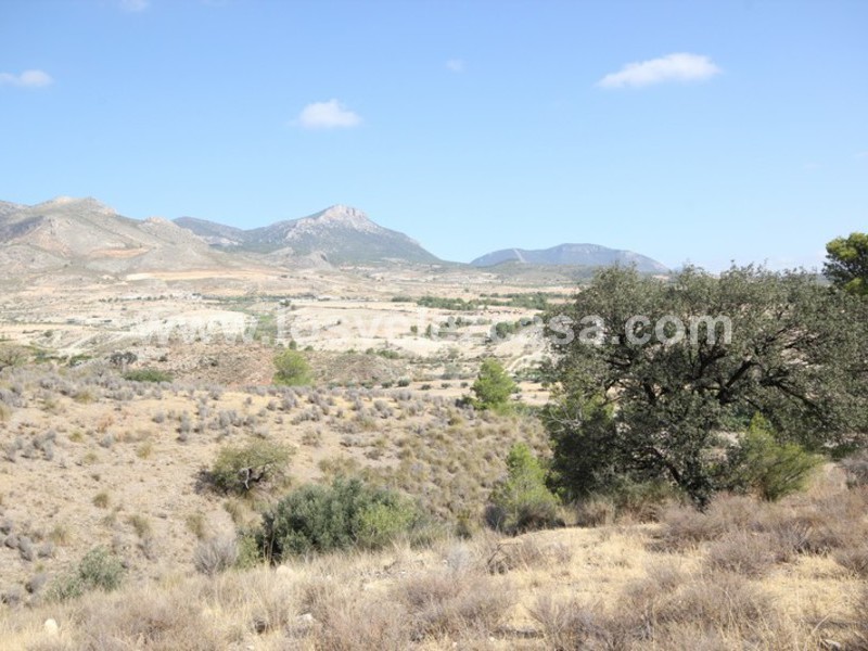 LVC388: Country Property to Reform for sale in Fontanares, Murcia
