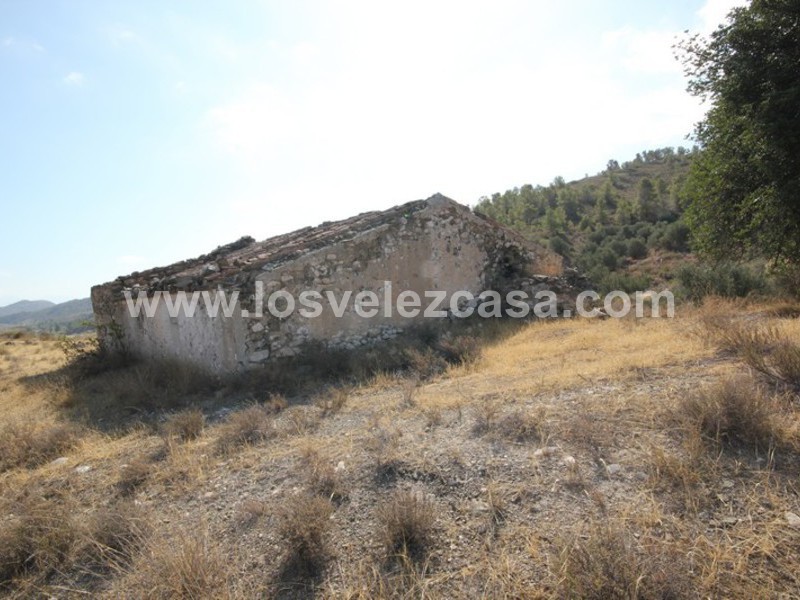 LVC388: Cortijo para Reformar en venta en Fontanares, Murcia