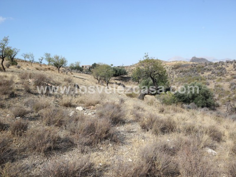 LVC388: Cortijo para Reformar en venta en Fontanares, Murcia