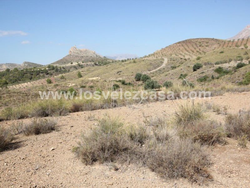 LVC390: Land for sale in Fontanares, Murcia