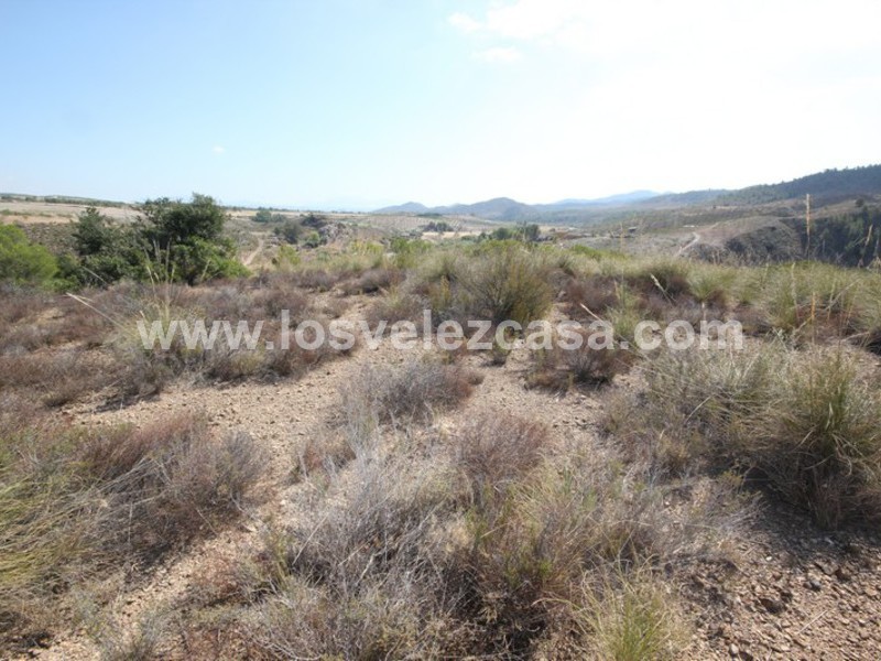 LVC390: Land for sale in Fontanares, Murcia