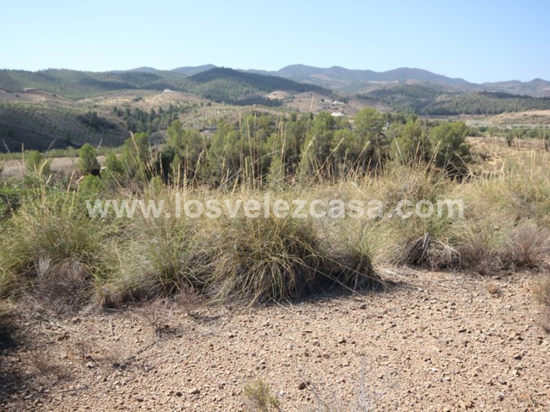 LVC390: Land for sale in Fontanares, Murcia