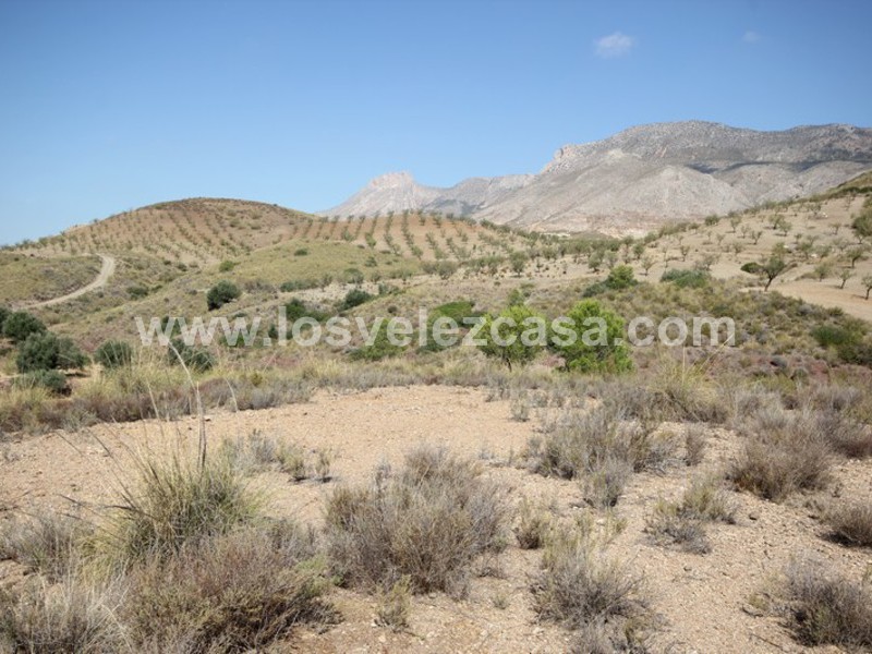 LVC390: Land for sale in Fontanares, Murcia