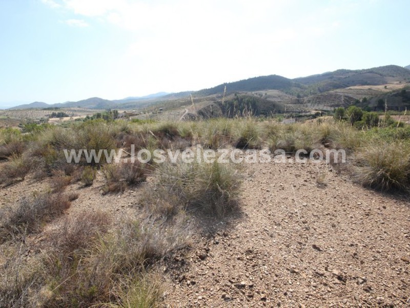 LVC390: Land for sale in Fontanares, Murcia