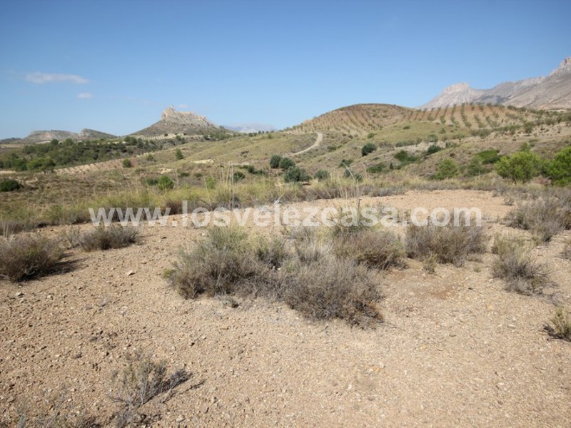 LVC390: Land for sale in Fontanares, Murcia