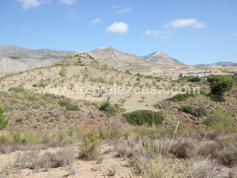 LVC390: Land for sale in Fontanares, Murcia