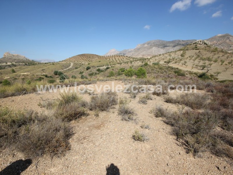 LVC390: Land for sale in Fontanares, Murcia