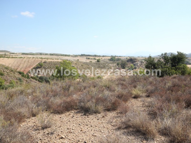 LVC390: Land for sale in Fontanares, Murcia