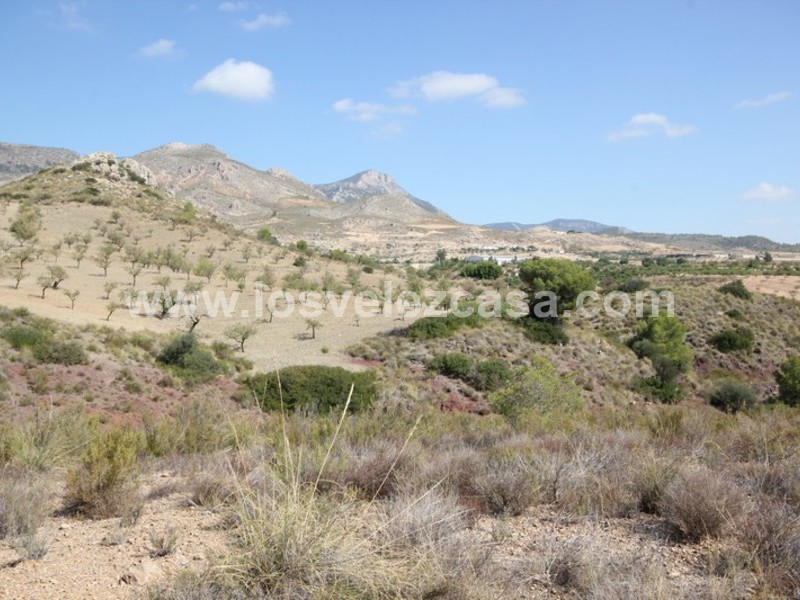 LVC390: Land for sale in Fontanares, Murcia