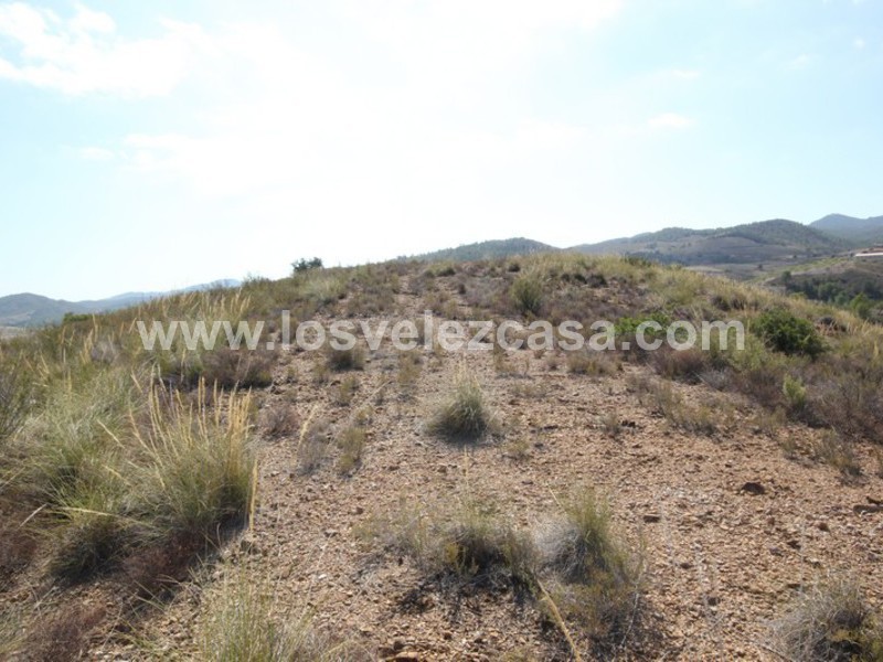 LVC390: Land for sale in Fontanares, Murcia