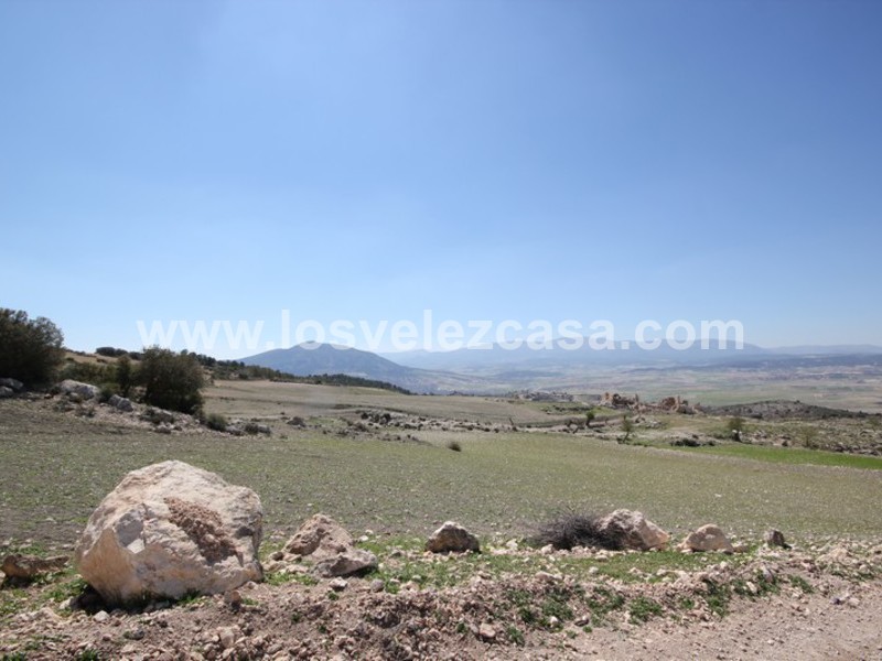 LVC399: Finca en venta en Topares, Almería