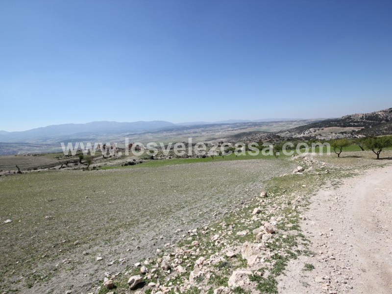 LVC399: Finca en venta en Topares, Almería
