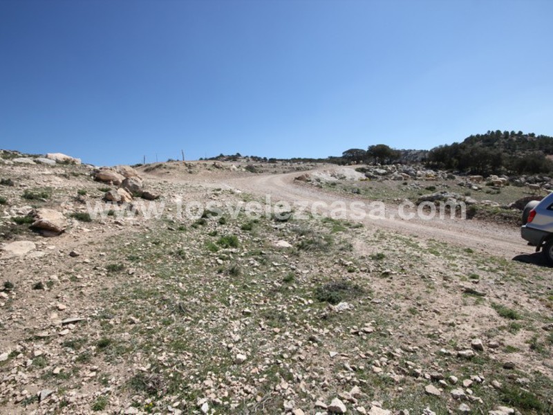 LVC399: Finca en venta en Topares, Almería