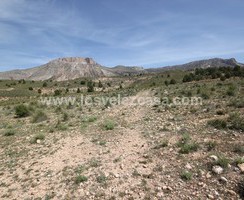 LVC402: Land in Velez-Blanco, Almería