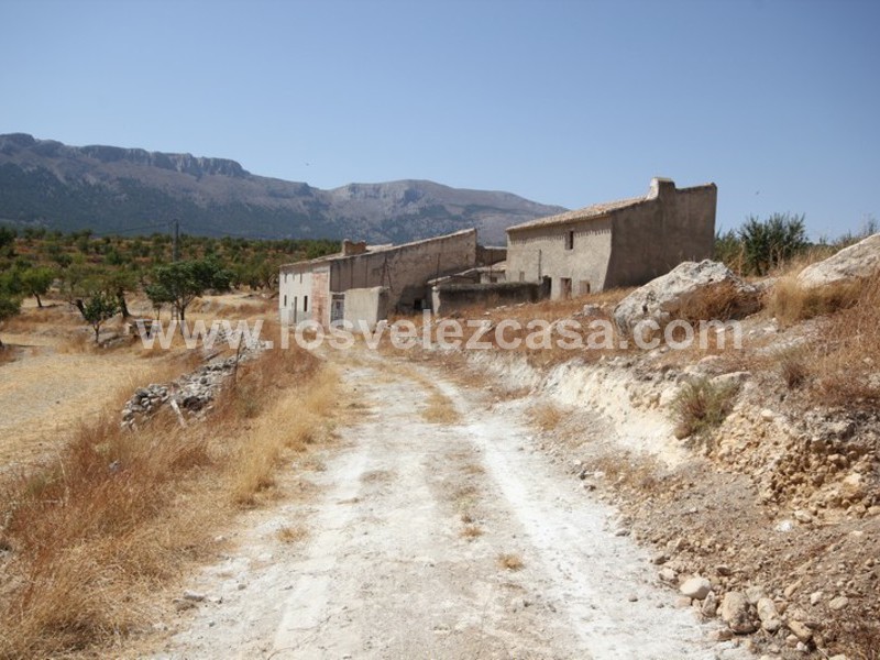 LVC410: Granja Pequeña en venta en Maria, Almería