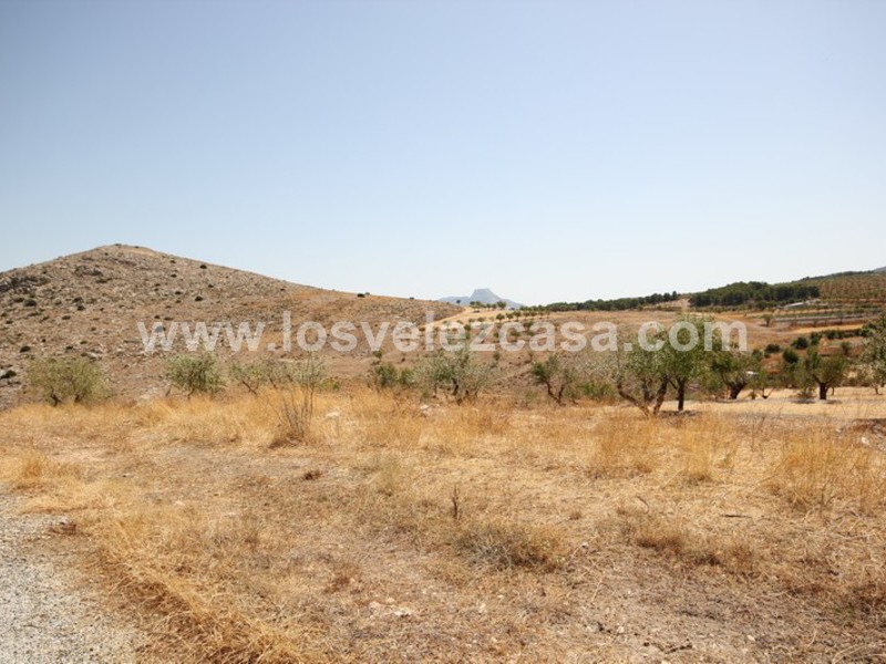 LVC410: Granja Pequeña en venta en Maria, Almería
