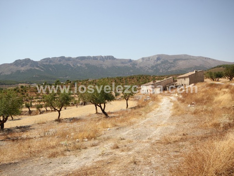 LVC410: Granja Pequeña en venta en Maria, Almería