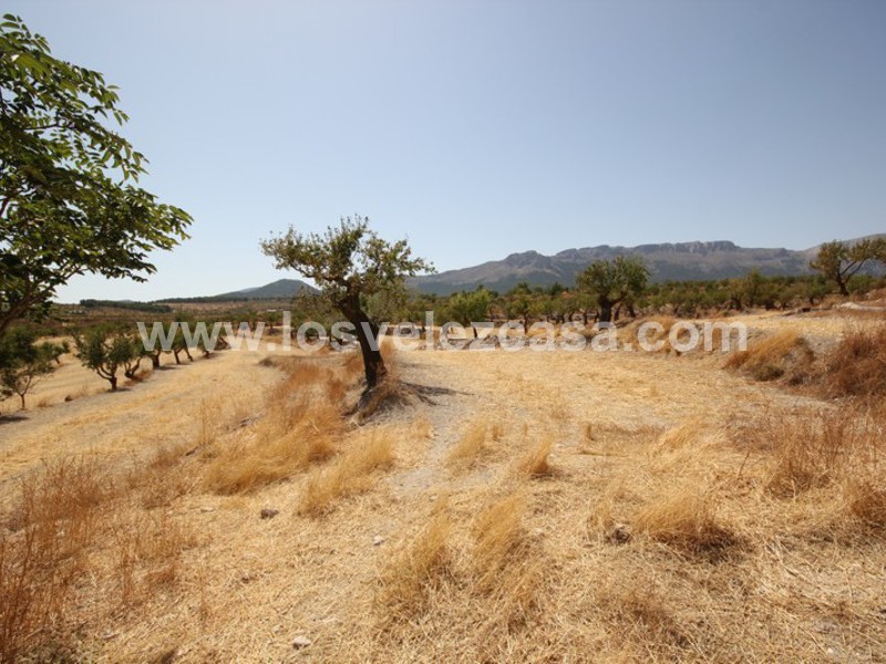 LVC410: Granja Pequeña en venta en Maria, Almería