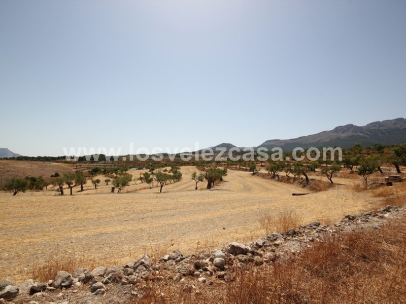 LVC410: Granja Pequeña en venta en Maria, Almería