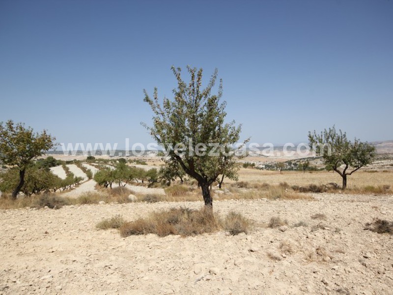 LVC410: Granja Pequeña en venta en Maria, Almería